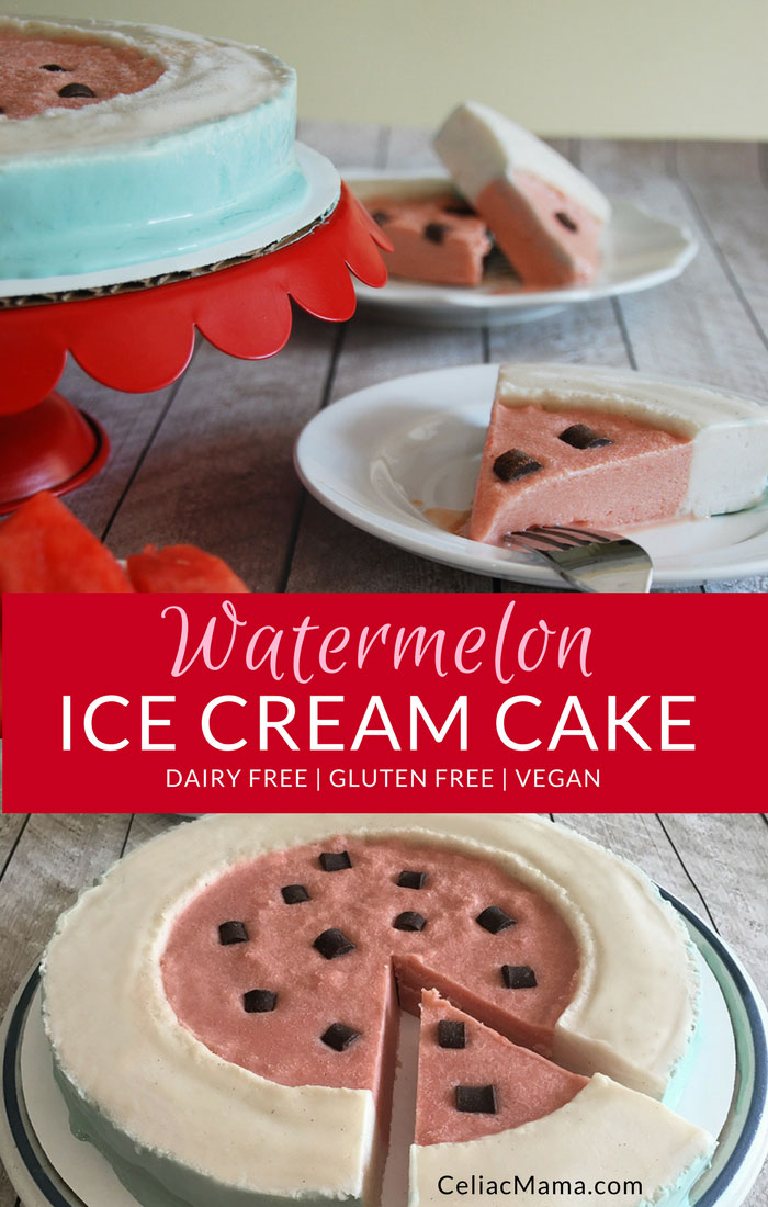 dairy-free-watermelon-ice-cream-cake