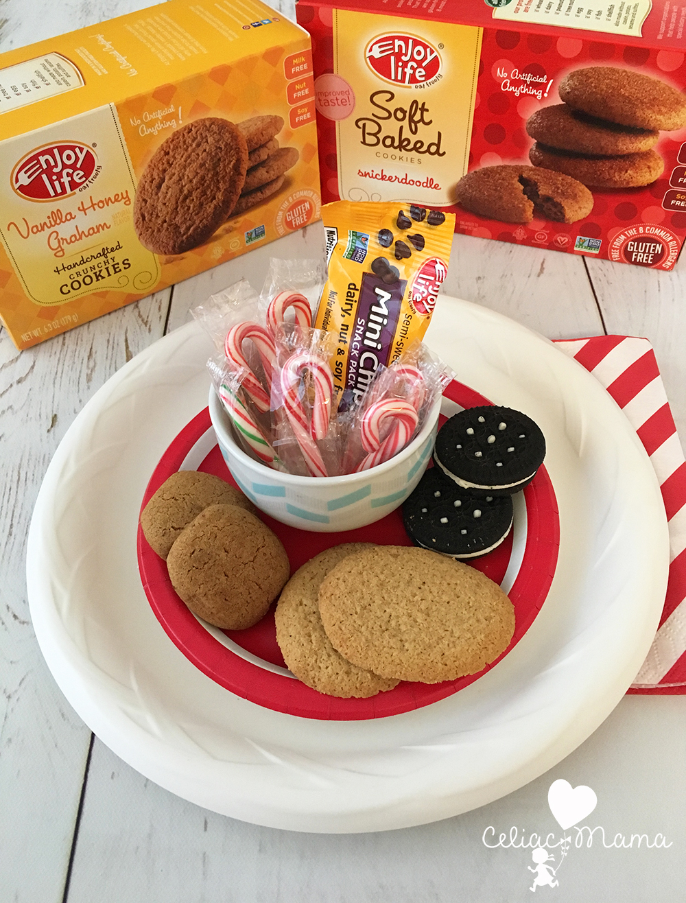 enjoy-life-cookie-party for kids